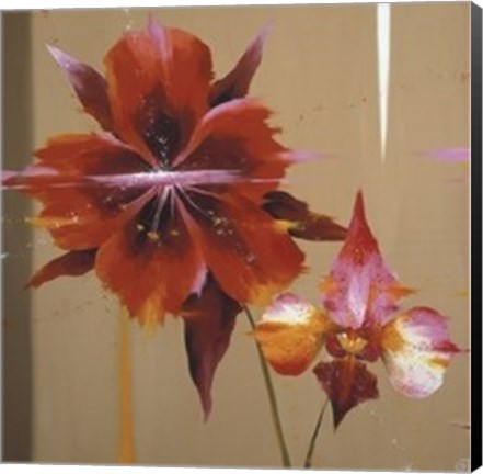 Framed Orchid &amp; Corn Poppy Print