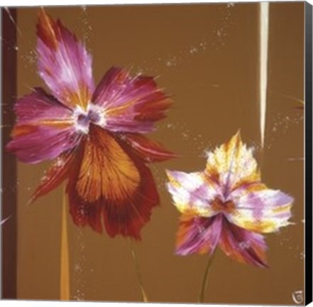 Framed Orchids &amp; Seeds Print