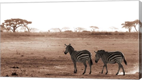 Framed Crossing The African Plains Print