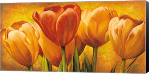 Framed Bouquet of orange tulips Print