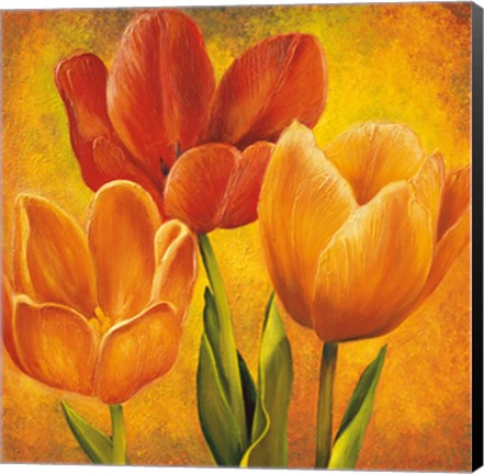 Framed Orange Tulips I Print