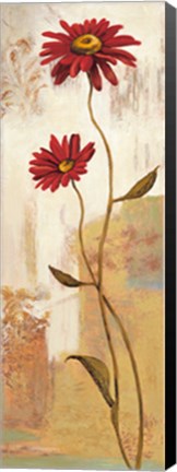 Framed Panneau marguerite Print