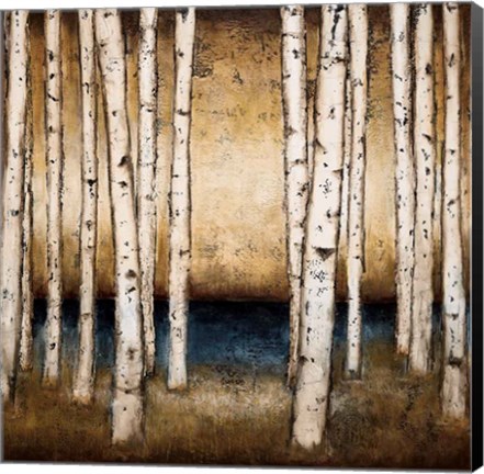 Framed Birch Landing Print