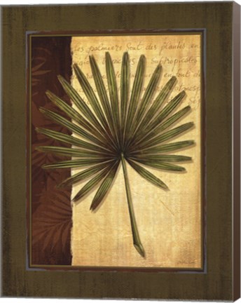 Framed Palm Tropical I Print