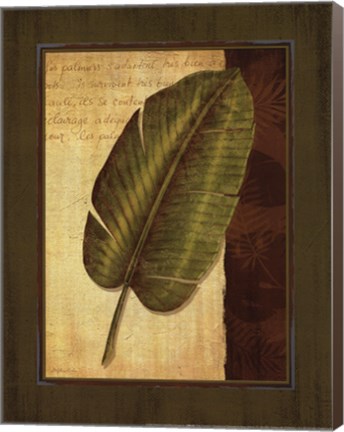 Framed Palm Tropical II Print