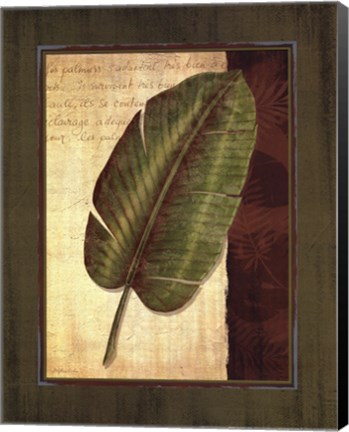 Framed Palm Tropical II - grande Print