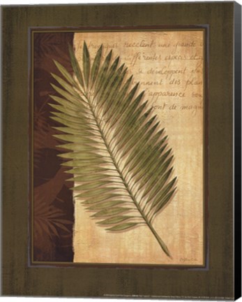 Framed Palm Tropical III Print