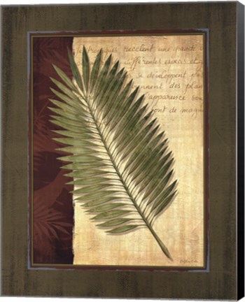 Framed Palm Tropical III - grande Print