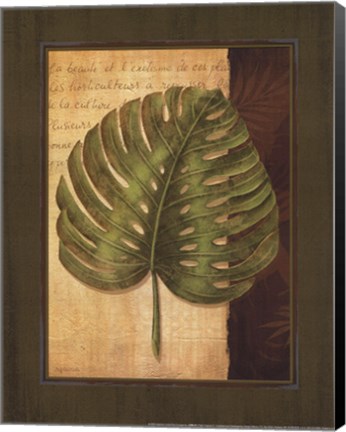 Framed Palm Tropical IV Print