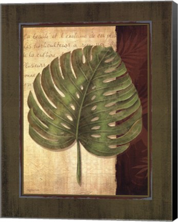 Framed Palm Tropical IV - grande Print