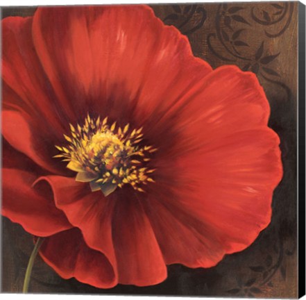 Framed Rouge Poppies I Print