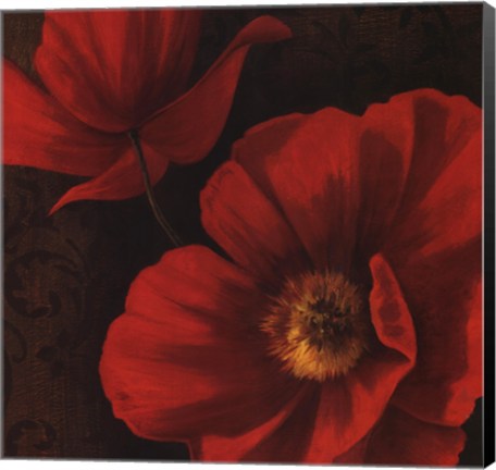 Framed Rouge Poppies II Print