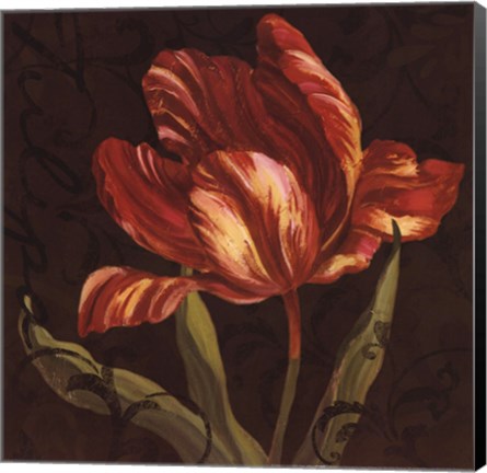 Framed Tulipa II Print