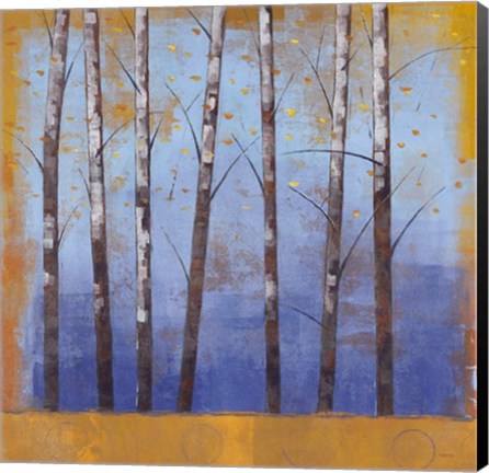 Framed Birch Trees II - mini Print