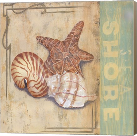 Framed Sea Shore Print