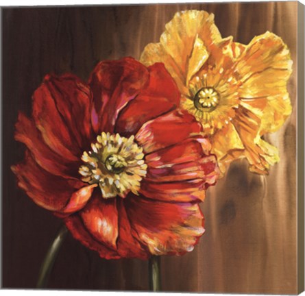 Framed Poppies - square Print