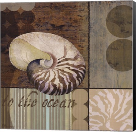 Framed Contemporary Shell II Print