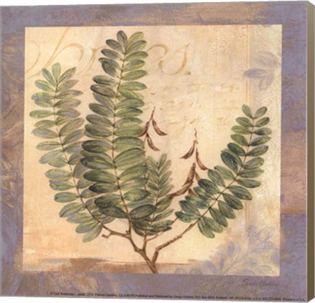 Framed Leaf Botanicals I - petite Print