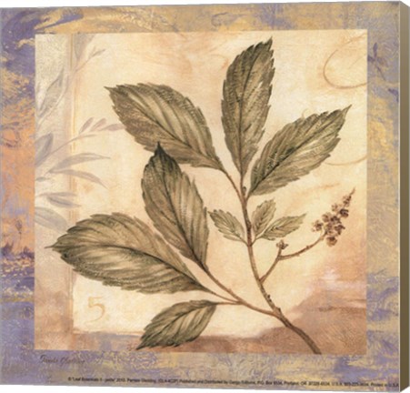 Framed Leaf Botanicals II - petite Print