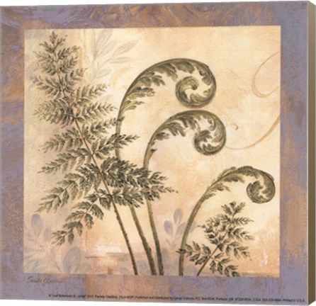 Framed Leaf Botanicals III - petite Print