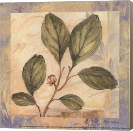 Framed Leaf Botanicals IV - petite Print