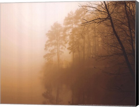 Framed Fog on Shelly Lake I Print