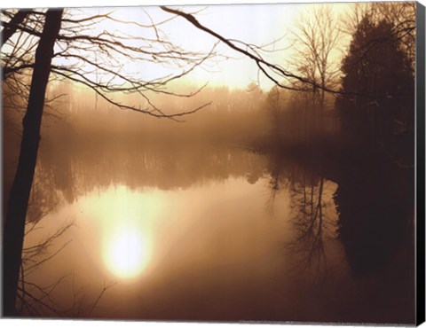 Framed Fog on Shelly Lake II Print