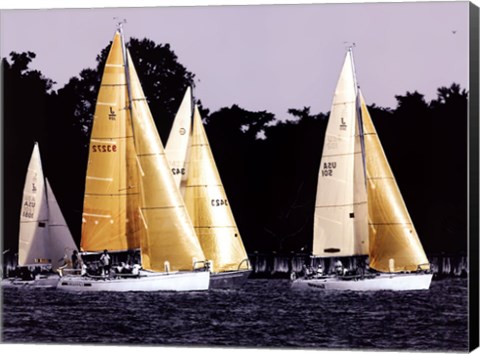 Framed Race at Annapolis II Print
