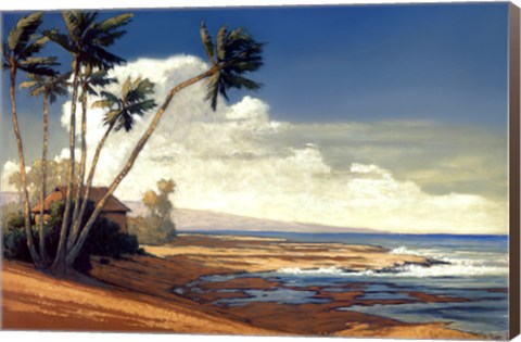 Framed Kona Coast I Print