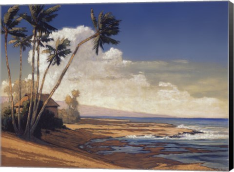 Framed Kona Coast I - petite Print