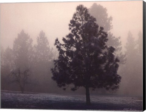 Framed Silent Night Print