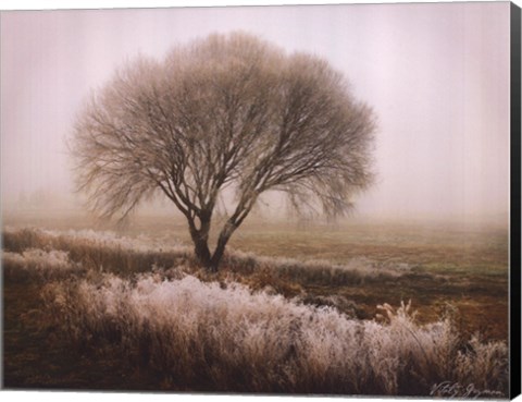 Framed Tranquility I Print