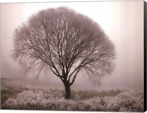 Framed Tranquility II Print