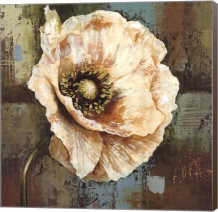 Framed Papaver II - grande Print