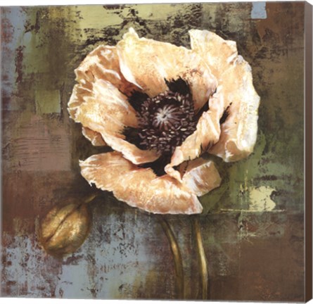 Framed Papaver I - grande Print