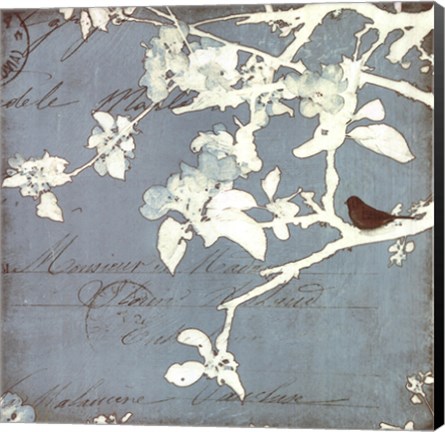 Framed Song Birds III Print