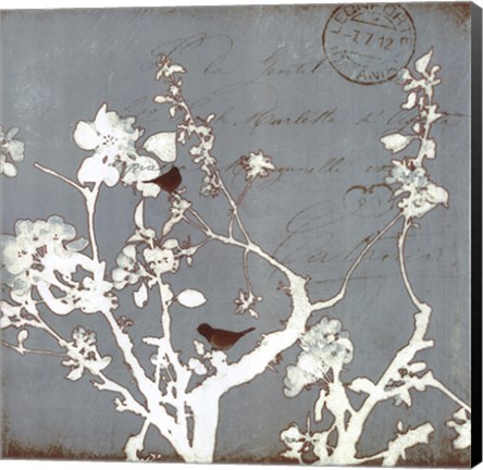 Framed Song Birds IV Print
