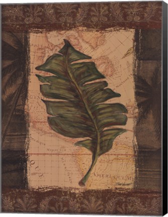 Framed Tropical Leaf I Print
