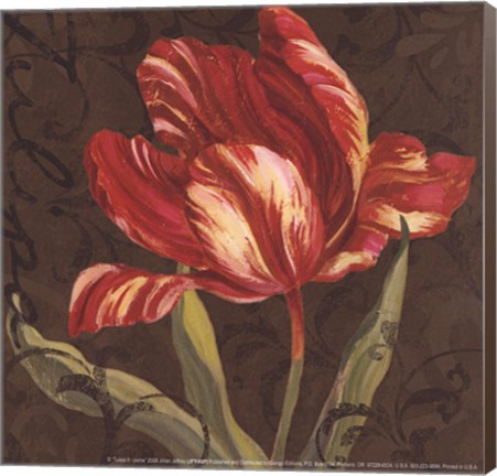 Framed Tulipa II - Mini Print