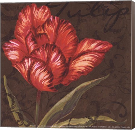 Framed Tulipa I - Mini Print