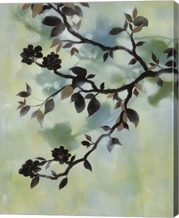 Framed Evening Shadows II Print