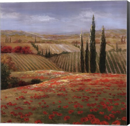 Framed Tuscan Cypress II Print
