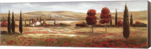 Framed Tuscan Poppies II Print