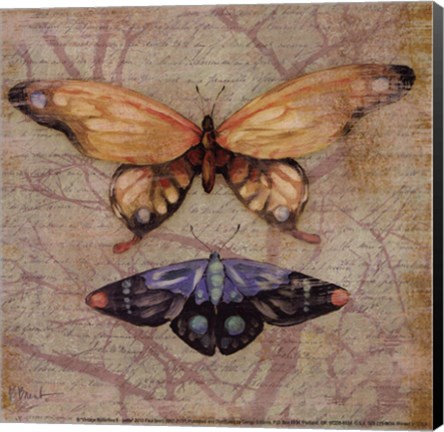 Framed Vintage Butterflies II - petite Print