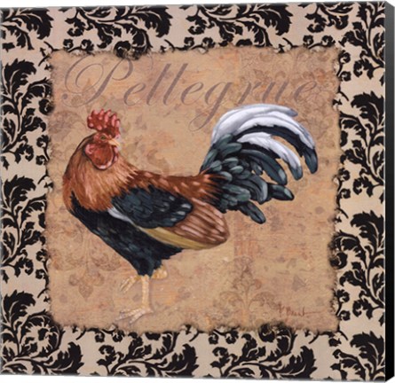 Framed Bergerac Rooster Black II Print
