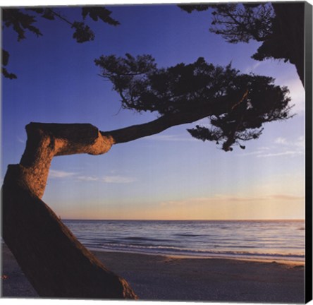 Framed Carmel Sunset I Print