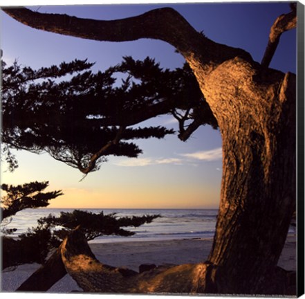 Framed Carmel Sunset II Print