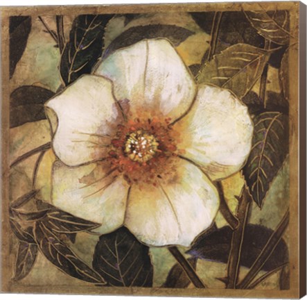 Framed White Magnolia I Print