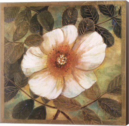 Framed White Magnolia II Print