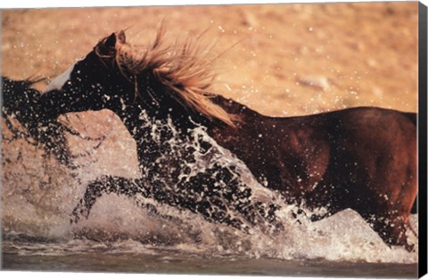 Framed Running through Water Print